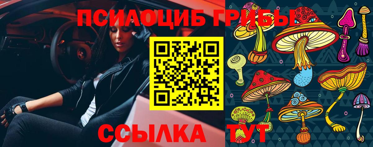 Ишимбай  Псилоцибиновые грибы Cubensis  Галлюциногенные грибы MAGIC MUSHROOMS  Вход с VPN 