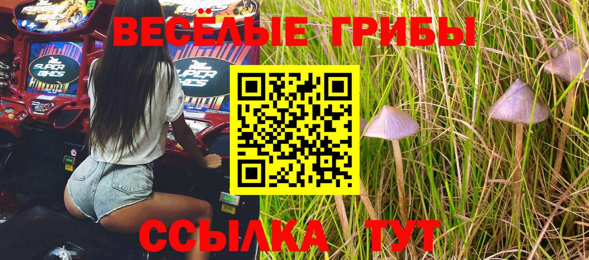 Галлюциногенные грибы GOLDEN TEACHER Ишимбай